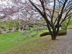149 PARC ORIENTAL DE MAULEVIER MAINE ET LOIRE 2016 N0_000020